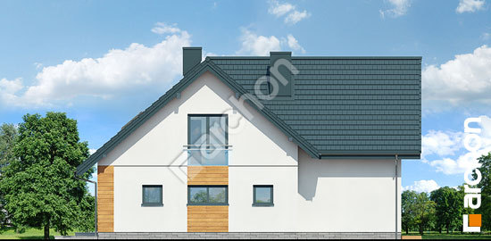 Бочний фасад Будинок в клетрах