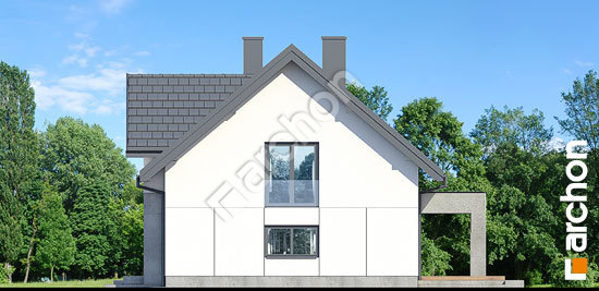 Боковой фасад Дом в коммифорах 10