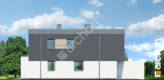 Боковой фасад Дом под гинко 14 (ГБ)