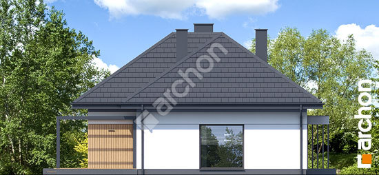 Бочний фасад Будинок в петуніях 2