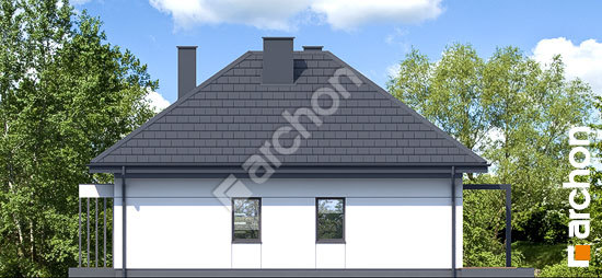 Бочний фасад Будинок в петуніях 2