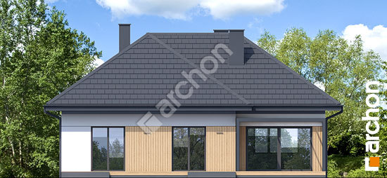 Дворовой фасад Дом в петуниях 2