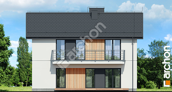 Дворовой фасад Дом в халезиях (Р2А) вер.3