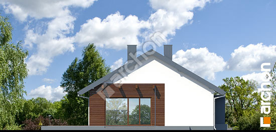 Бочний фасад Будинок під шовковичним деревом вер.2