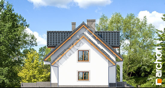 Бочний фасад Будинок у вербені 5 (Г2П)