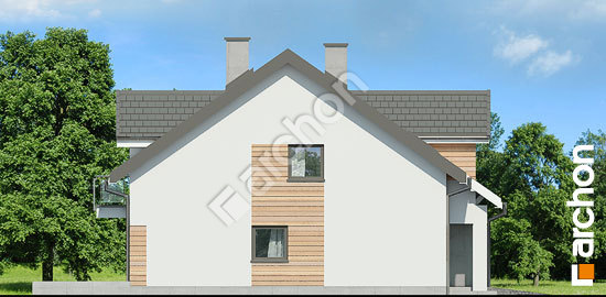 Боковой фасад Дом под агавами 3 (Б)