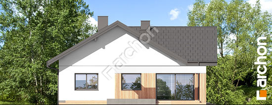 Бочний фасад Будинок в бузку 11