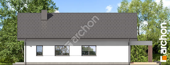 Дворовий фасад Будинок в бузку 11