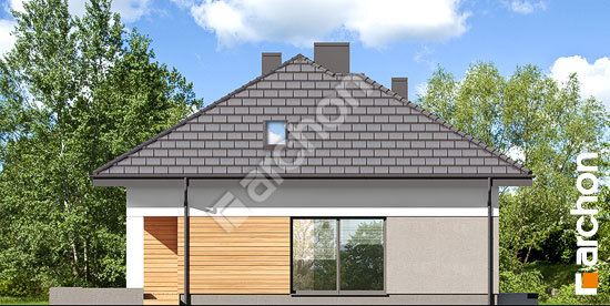 Бочний фасад Будинок під ціцербітою 4