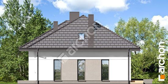 Бочний фасад Будинок під ціцербітою 4