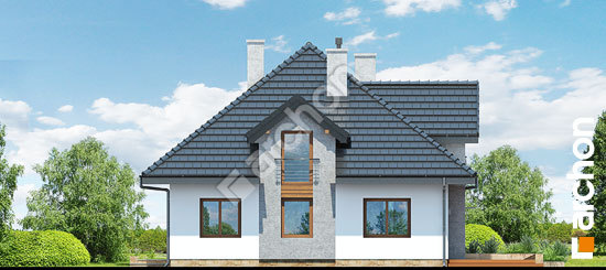 Дворовий фасад Будинок в тим'яні (Н) вер.2