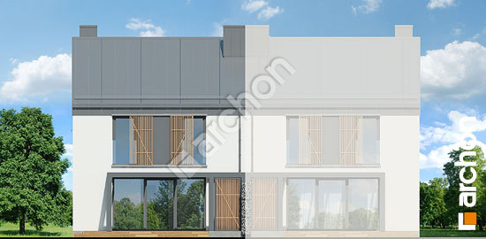 Дворовий фасад Будинок в нарцисах (Б) вер. 2