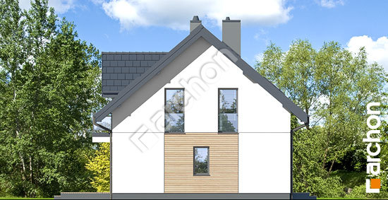 Боковой фасад Дом в хлорофитуме 14