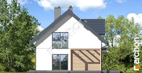 Боковой фасад Дом в хлорофитуме 14