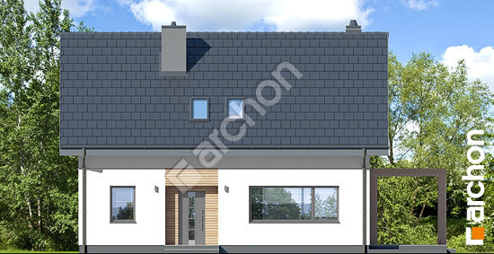 Передний фасад Дом в хлорофитуме 14