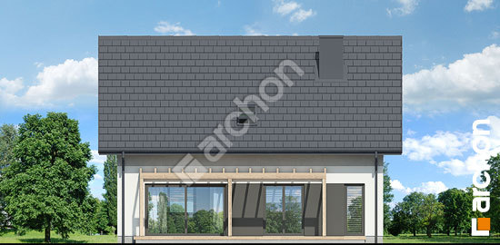 Дворовий фасад Будинок в мальвах 2