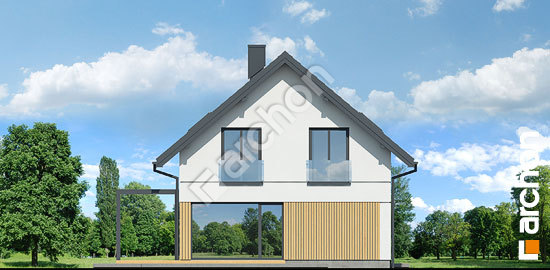 Бочний фасад Будинок у гніздівках (Е)