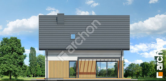 Дворовий фасад Будинок у гніздівках (Е)