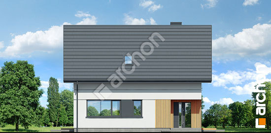 Передний фасад Дом в гнездовках (Е)