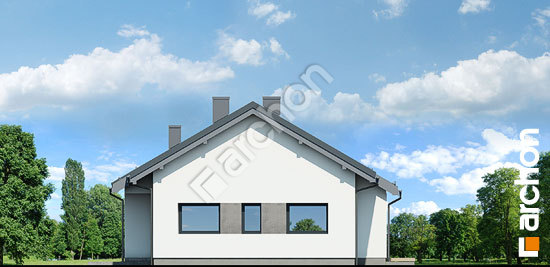 Боковой фасад Дом в пеперомиях 2