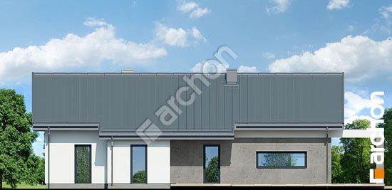 Дворовий фасад Будинок в пепероміях 2