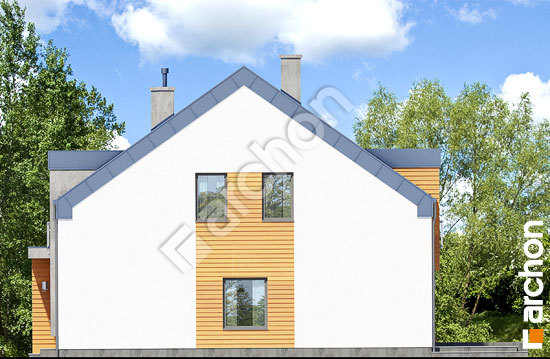 Боковой фасад Дом под гинко 9 (БН)