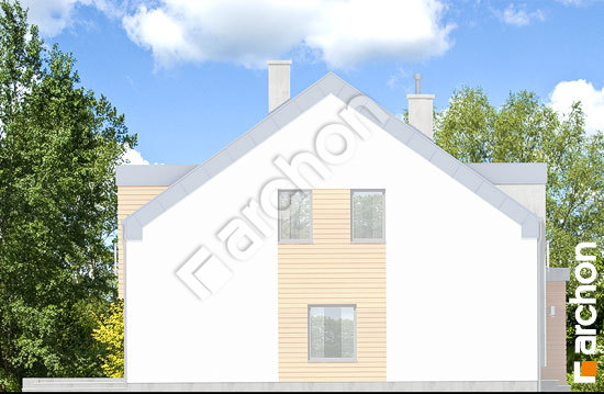 Боковой фасад Дом под гинко 9 (БН)