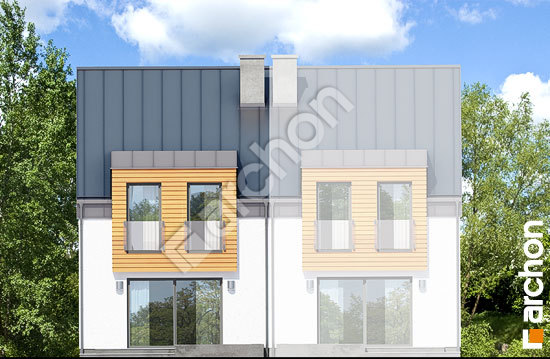 Дворовой фасад Дом под гинко 9 (БН)