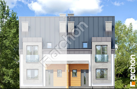 Передний фасад Дом под гинко 9 (БН)