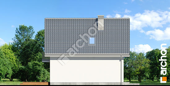 Бочний фасад Будинок у винограді 7