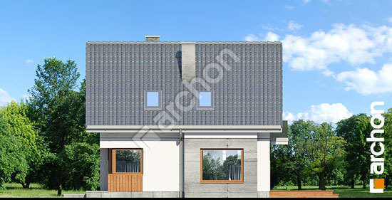 Боковой фасад Дом в винограде 7