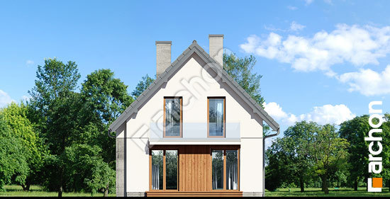 Дворовой фасад Дом в винограде 7