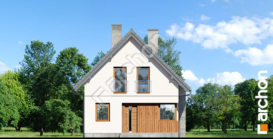 Передний фасад Дом в винограде 7