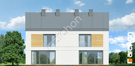 Дворовий фасад Будинок в тунбергіях 3 (Р2)