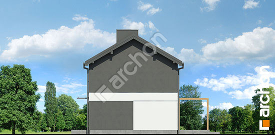 Боковой фасад Дом в эверниях 3