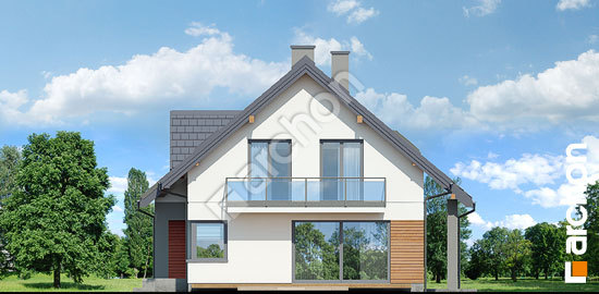 Бочний фасад Будинок в айдаредах 10