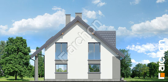 Бочний фасад Будинок в айдаредах 10