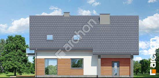 Дворовий фасад Будинок в айдаредах 10