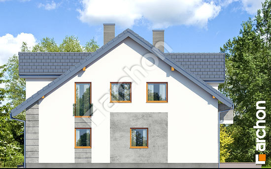 Боковой фасад Дом под гинко 7 (ГР2)