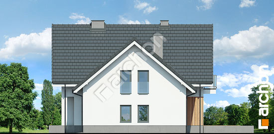 Боковой фасад Дом в рододендронах 27