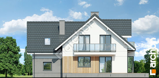 Дворовий фасад Будинок в рододендронах 27