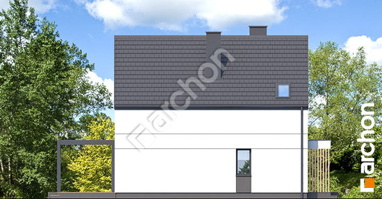 Бочний фасад Будинок під яворами 2