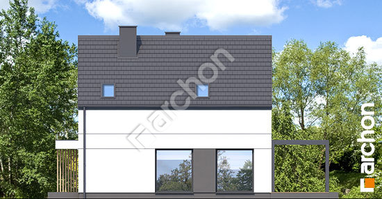 Бочний фасад Будинок під яворами 2