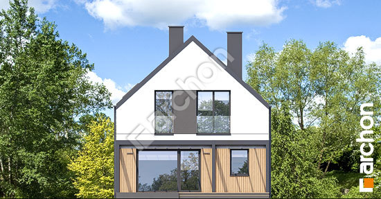 Дворовий фасад Будинок під яворами 2