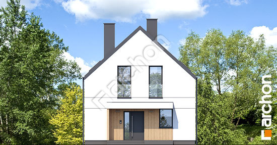 Передній фасад Будинок під яворами 2