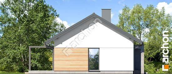 Бочний фасад Будинок в коручках 4