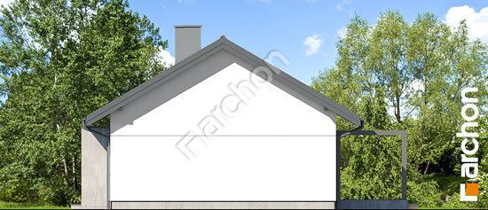 Бочний фасад Будинок в коручках 4