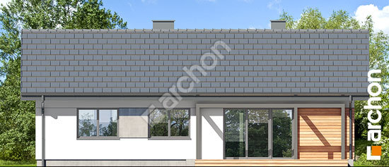 Дворовий фасад Будинок в коручках 4