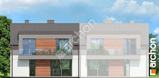 Дворовой фасад Дом в полыне 2 (Б)