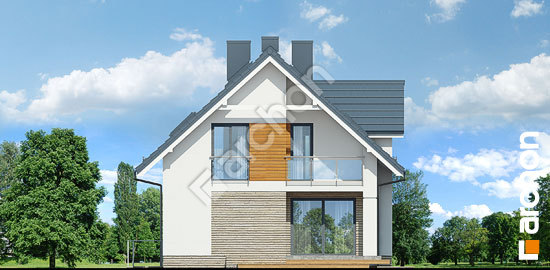 Бочний фасад Будинок в цинобрувках (П)